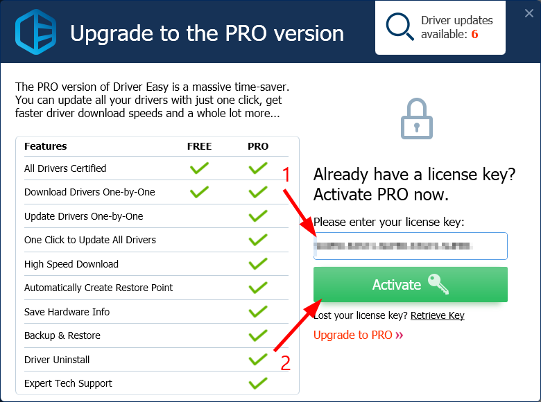 Download Free Driver Easy Crack